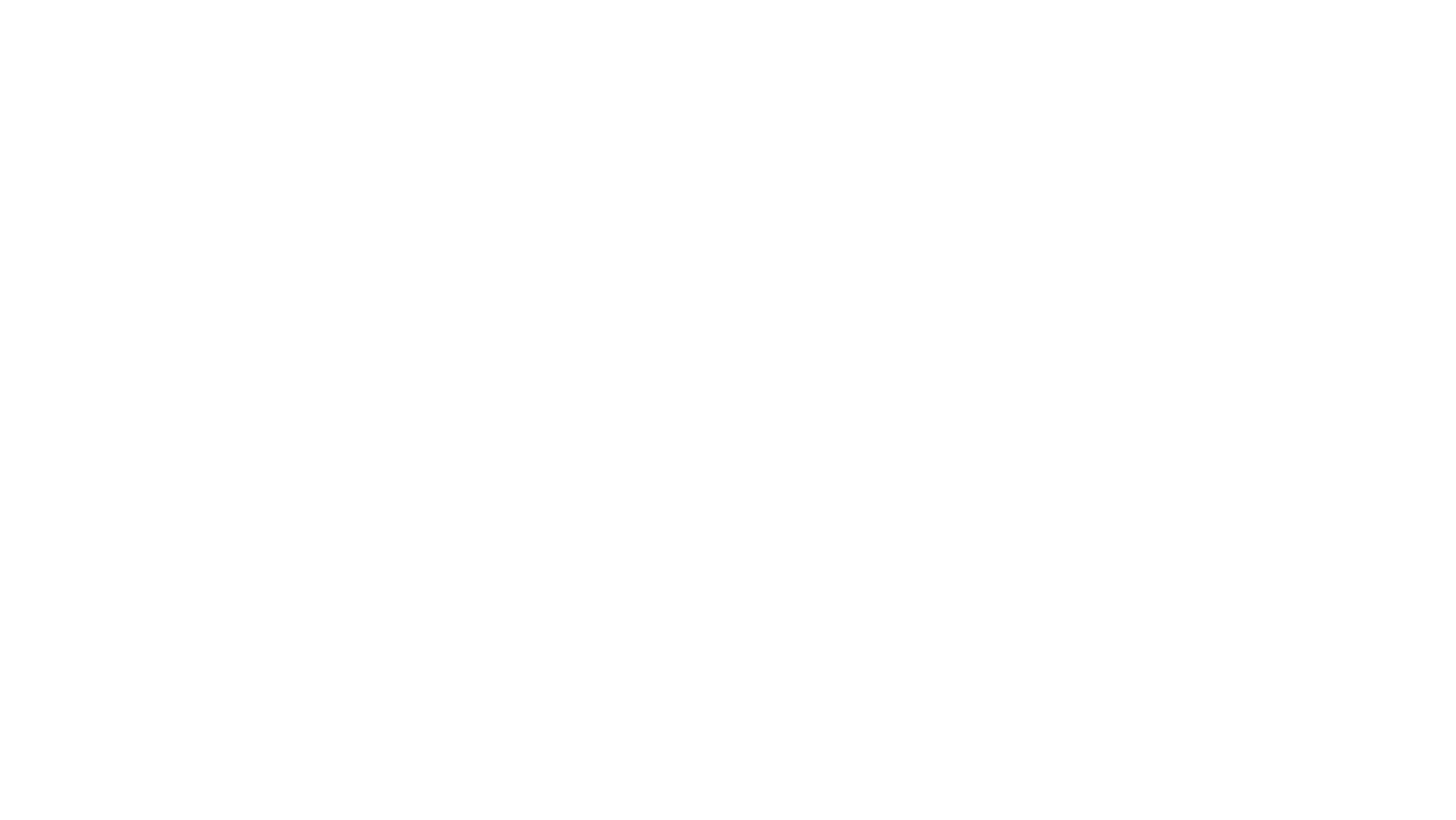 THE LIGHT